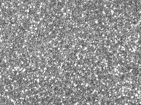 Tissus Fantaisie Jewel 135cm