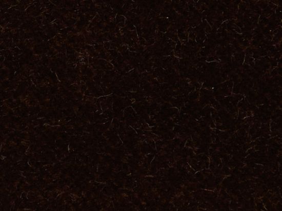 Velours de Coton 150cm M1