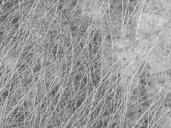 Non Tissé Filandre 155cm M1