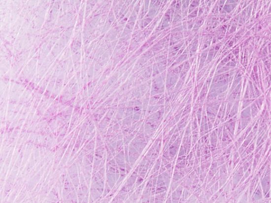 Non Tissé Filandre 155cm M1