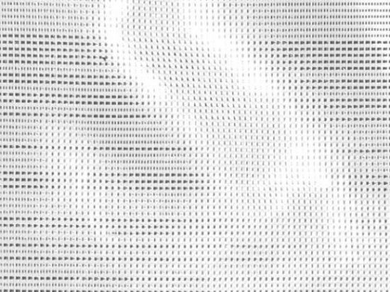 Voile Lamé 50% 300cm M1