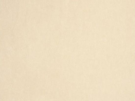 Moquette Flamenco 2m x 50m Bfl-s1