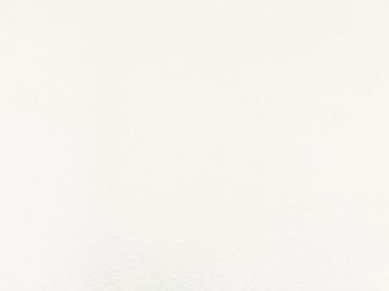 Moquette Montexpo 202 cm x 60m Bfl-s1