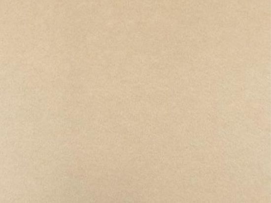 Moquette Montexpo 202 cm x 60m Bfl-s1