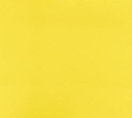 Moquette Montexpo 202 cm x 60m Bfl-s1