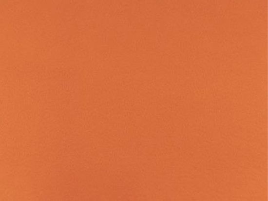 Moquette Montexpo 202 cm x 60m Bfl-s1