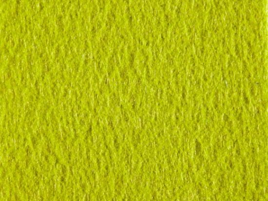 Moquette Aiguilletée de Stand Filmée 2m Cfl-s1