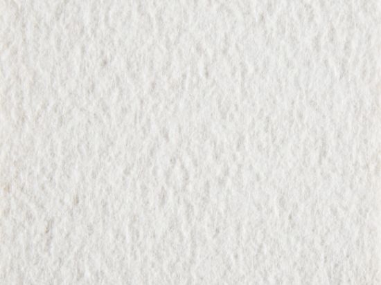 Moquette Aiguilletée de Stand Filmée 2m Cfl-s1