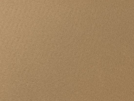 Moquette Aiguilletée de Stand Filmée 2m Cfl-s1