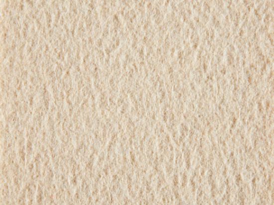 Moquette Aiguilletée de Stand Filmée 2m Cfl-s1