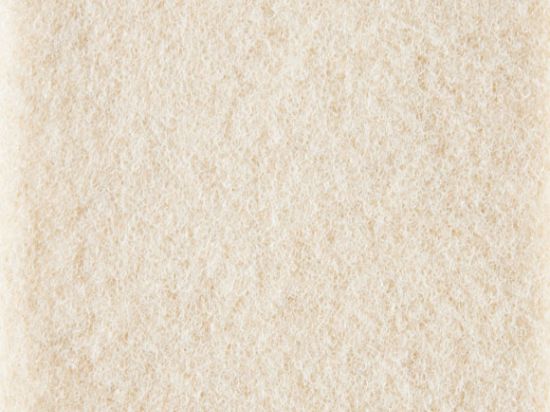 Salsa Filmed Velour Fabric Carpet 2m Cfl-s1