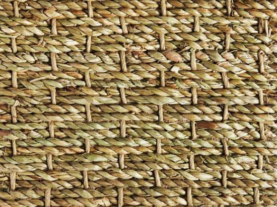 Seagrass - Jonc de Mer en 4m Cfl-s1