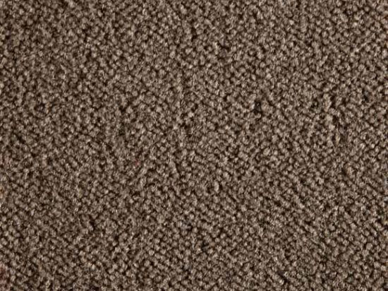 Moquette Epaisse Symphonie 4m Bfl-s1