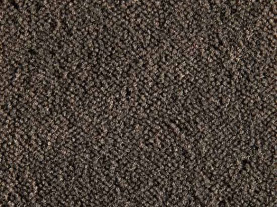 Moquette Epaisse Symphonie 4m Bfl-s1