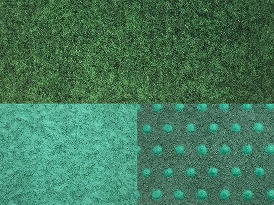 Carpet Grass Bala 4m x 50m