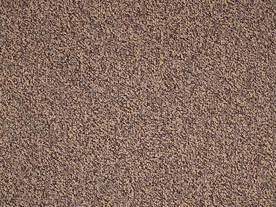 Moquette Bouclée Fox Déco 4m