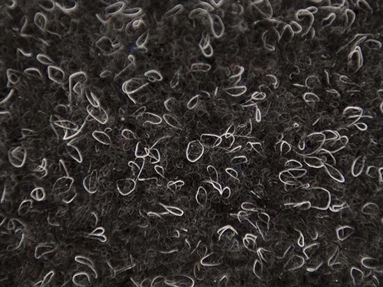 Heavy Duty Carpet Olympia 4m