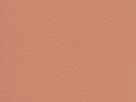 Sol Sportif Intérieur Taraflex