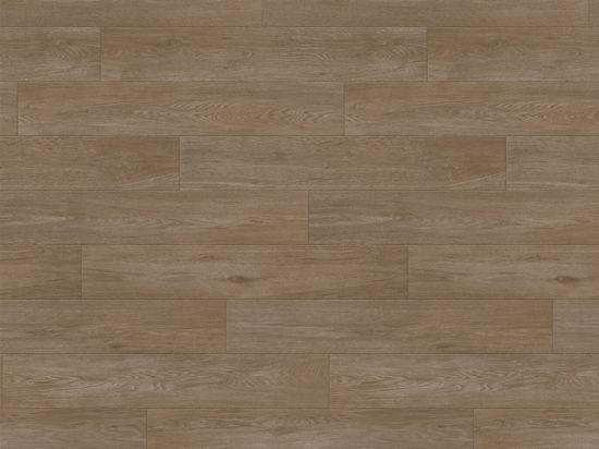 Sol Taralay Impression Confort 43