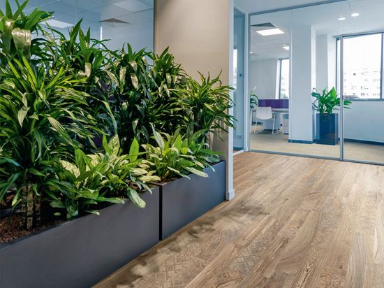 Sol PVC Taralay Impression Compact 33