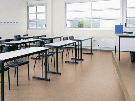 Sol PVC Taralay Impression Compact 43