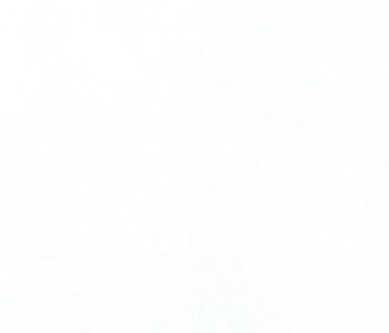 Taffetas Bombay 308cm Bs1-D0