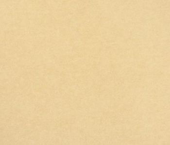 Moquette Revexpo 2m x 30m Cfl-s1