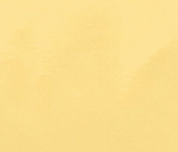 Plaque Décorative Miroir Rigide Or 1m x 2,60m