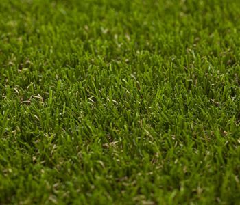 Artificial Grass Elite 6051