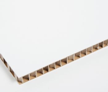 Panneau Carton Alvéolaire Blanc 2,4m x 1,6m x 10mm