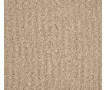 Moquette Noblesse Beige Clair - Col 33 -  4m Cfl-s1
