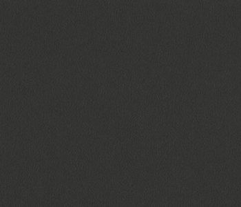 PVC Vinyl Flooring Party 2m