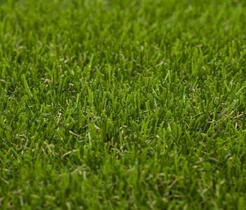 Artificial Grass Wanderlust 6960